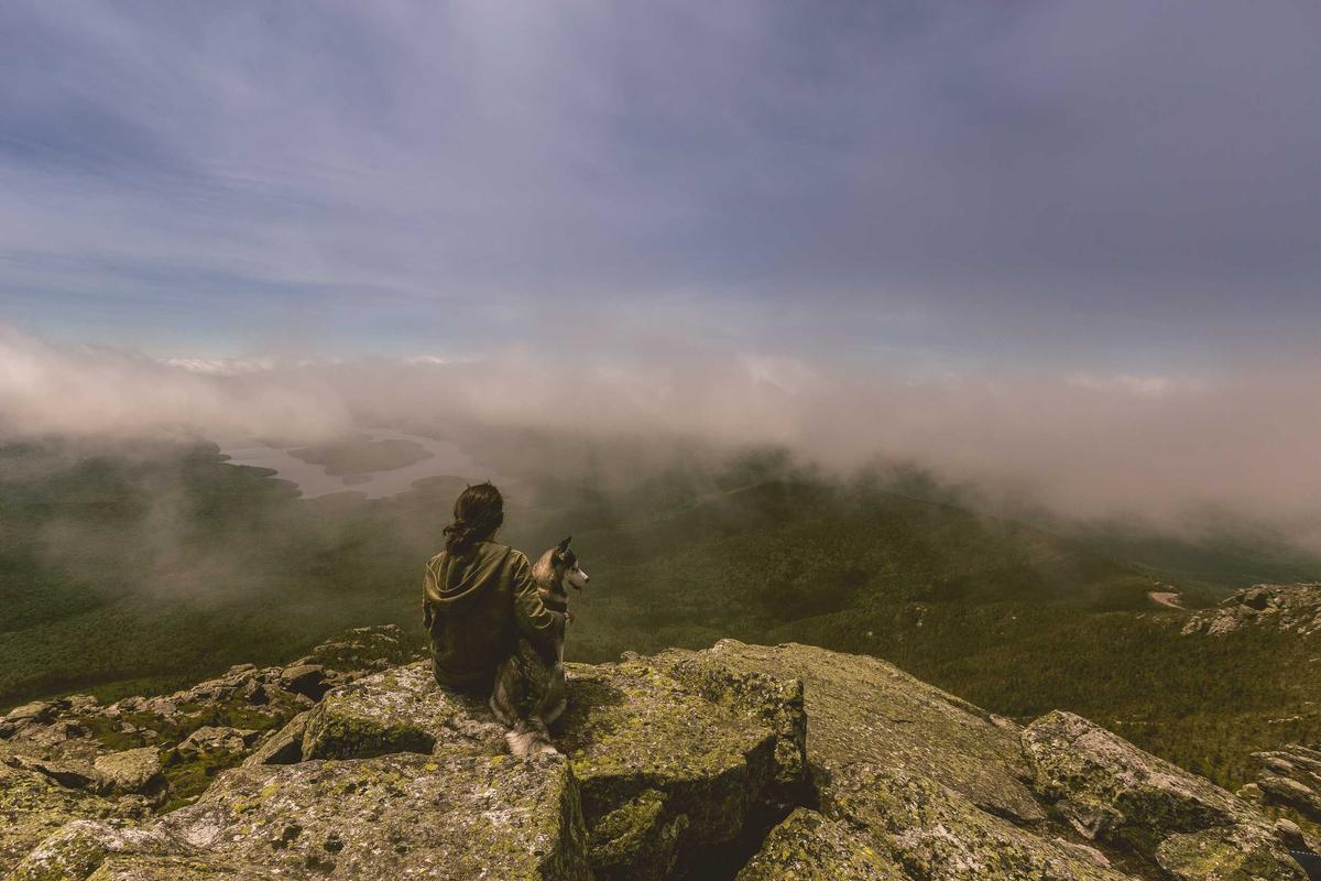 Hackathon coding session for MVP development